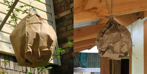 make your own fake wasp nest plastic bag|paper wasp nest.